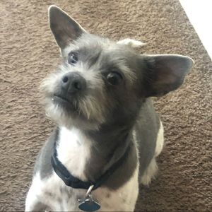 Meet your Posher, Jasmin